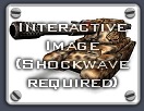 View the Leopard interactive image (Shockwave plugin required)