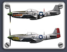 359th Fighter Group P-51D/K profiles